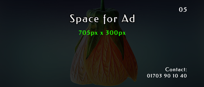 Home Page Upon Footer Ad_5