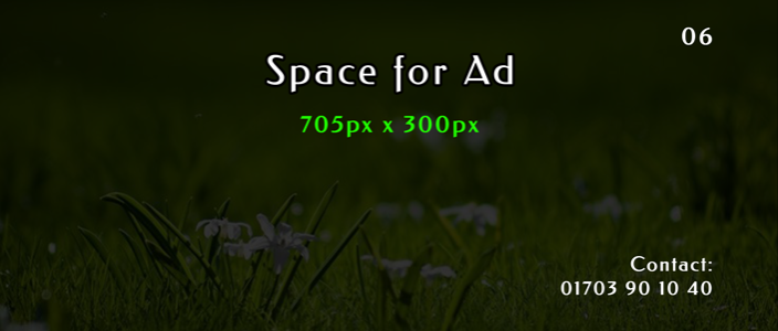 Home Page Upon Footer Ad_6